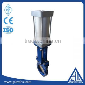 double pneumatic knife gate valve manufacturer