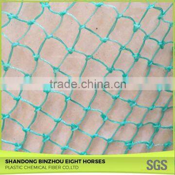 Excellet Quality Anti Bird Netting Cost