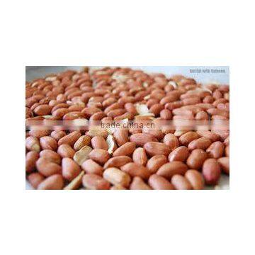 Blanched Peanut Without Skin - Count 38/40 40/50 50/60 photo-4