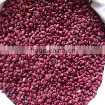 Crop 2013 red cowpeas New Arrival