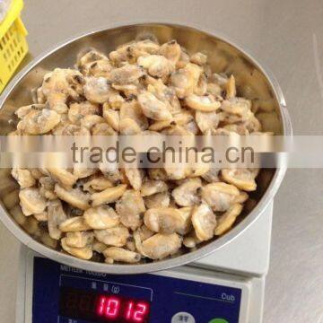 Frozen Short Neck Clam Meat photo-2