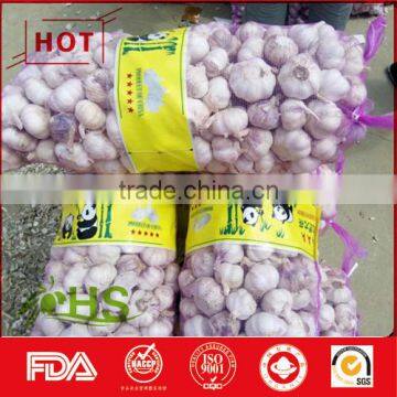 Fresh New Natural Organic Garlic Wholesale photo-2