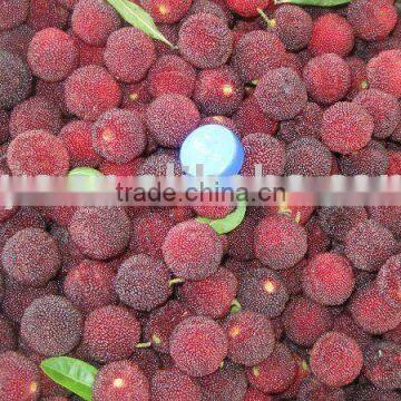 Chinese fresh waxberry