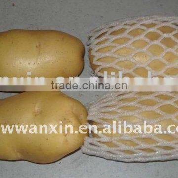 supply best fresh 2011 potato