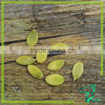 Snow White Pumpkin Seed Kernels Supplier In China