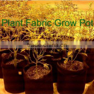 fabric smart pot in hydroponics systems