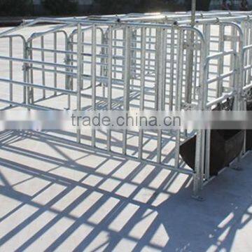 Poultry Farm Machinery Gestation Crates Stalls For Pigs