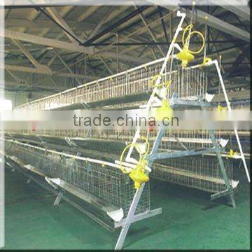 high quality egg layer cage