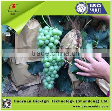 Organic And Inorganic Fertilizer 14-6-10 For Fruit Trees photo-3