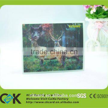 Low Price!Printing Gradient Type Lenticular Card From Gold Supplier