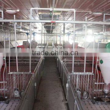 animal automatic feeding system for pig farm