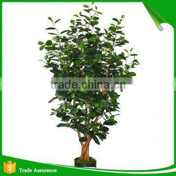 Top Quality Artificial Money Tree for Decoration photo-2