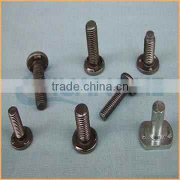 Factory Sales One Spot Point Welding Screw photo-5