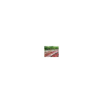 Vanq Grow Light Bar 150w Hydroponics Led Plant Waterproof High Power Greenhouse Lamp photo-2