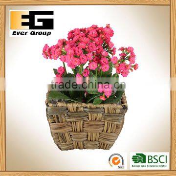 PE Rattan Flower Pot for Garden Planter photo-6