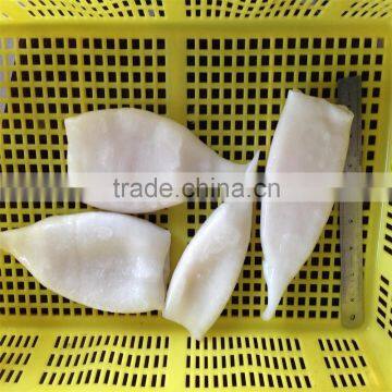 Best Quality New Arrival High Quality Squid Tube u5 u7 U10 photo-5