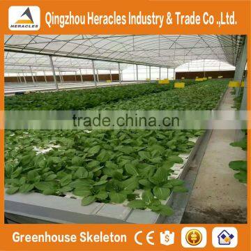 Heracles Commercial Idustrial Hydroponic Systems For PC Greenhouse /Vegetable Greenhouse photo-4