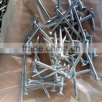 Galvanized Smooth Concrete Nail photo-2