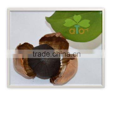 Wholesale Chinese High Quality Black Garlic With Compeititve Price photo-2