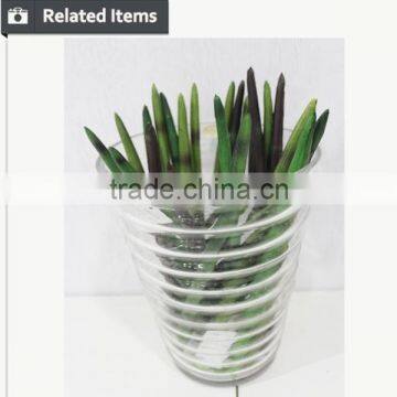 Manufacturing Maguey Garden Decoration Indoor Decoration Handmade Plant for Sale photo-5