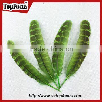 Reeves Cheap Natural Pheasant Tail Pheasant Feather for Sale photo-4