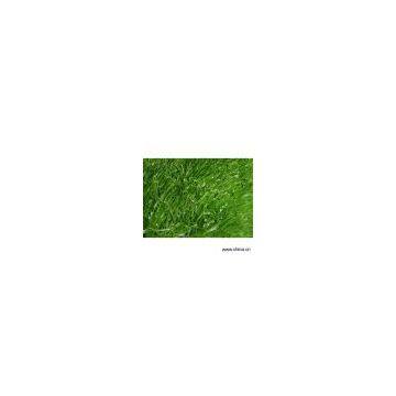 Sell Landscape Turf