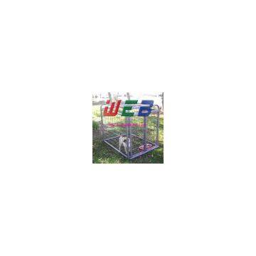 High quality cheap kennel from China