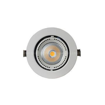 40W LED Gimbal Downlight