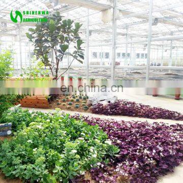 Low Cost Eco Agricultural Sightseeing Greenhouse For Sale