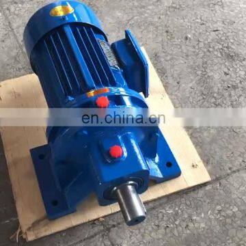 Cycloidal Pinwheel Planetary Speed Reducer Gearbox Motor