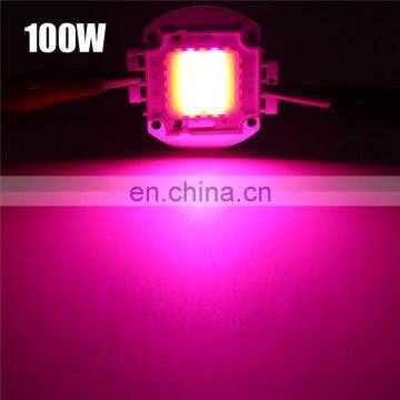 Full Spectrum LED Chip Grow Lamp for Indoor Plant Seeding 10W 20W 30W 50W 100W photo-7