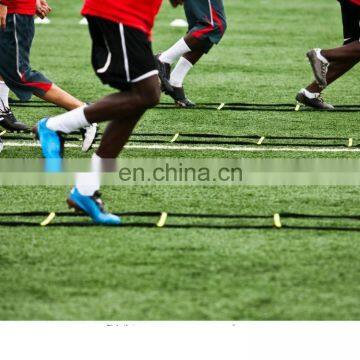 Adjustable Sports Training Equipment Agility Flat Step Ladder photo-5