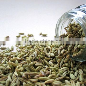 Fine Quality Organic Fennel Seeds Sales & Export