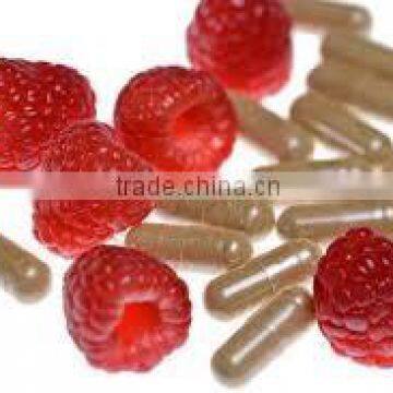 Fat Burner - Raspberry Ketone Capsules