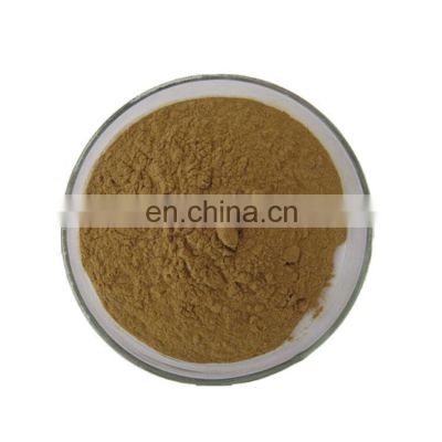 Top Quality Devil Claw Extract 1% 5% Harpagoside Devils Claw Extract Powder