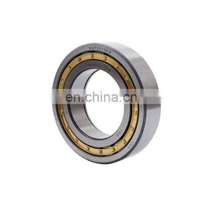 Hot Sale Full Complement Cylindrical Roller Bearing SL045005PP SL04 5005PP Bearing