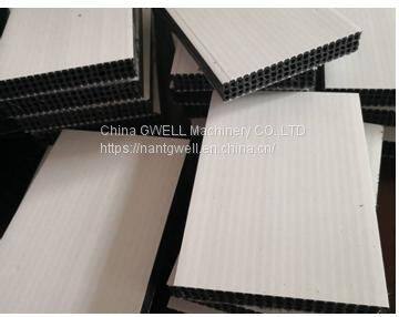 PP Hollow Construction Template Extrusion Line photo-2