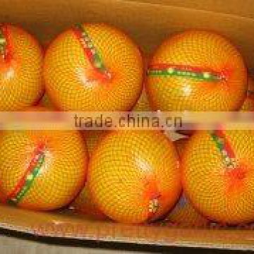 fresh honey pomelo