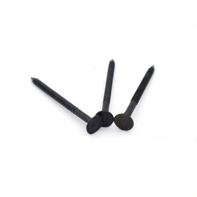 Clous à tête ronde zingués par trempé à chaud pour applications extérieures