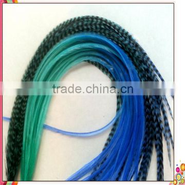 2014 New Arrival hot selling ombre wholesale bulk hair feathers