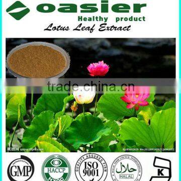 GMP ISO HACCP KOSHER Lotus Leaf Extract nuciferin