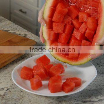 Melon Slicer Corer, Stainless Steel photo-6