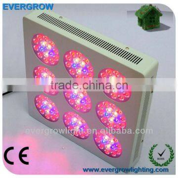 Modular Grow Light LED 300W Hydroponics Growing Equipment