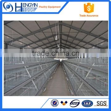 Automatic chicken layer cage chicken egg poultry with great price