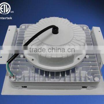100W Light Petroleum DLC and ETL 5 Years Warranty 100w Gas Pump Lamp photo-3