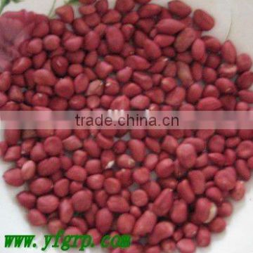 Red skin peanuts in the 4pcs