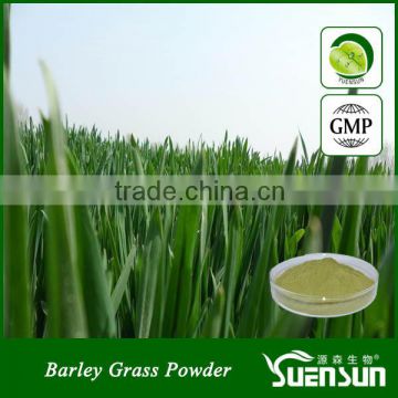 5:1 10:1 20:1 Barley grass extract powder