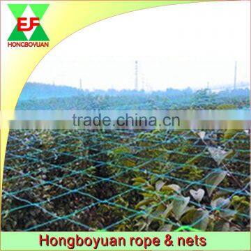 Cheap HDPE Agricultural Bird Netting For Grapes Apple Trees Anti Bird Protecting Netting