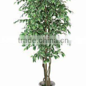 indoor silk ficus/benjamin tree