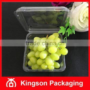 Disposable Clear Container Box for Fruit